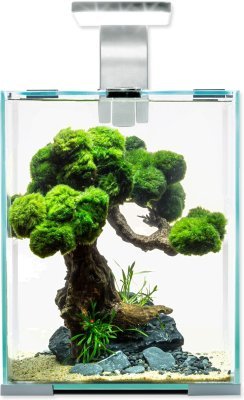 Akvarijní set Aquael SHRIMP SMART Day & Night bílý 20x20x25cm 10l