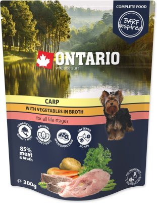 Kapsička Ontario kapr se zeleninou ve vývaru 300g