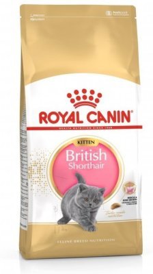 Royal Canin British Shorthair Kitten 10 kg