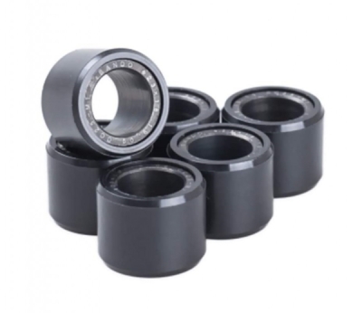 Závaží variátoru Premium BANDO WR190-170-060-6 19x17 6g (6 pcs)