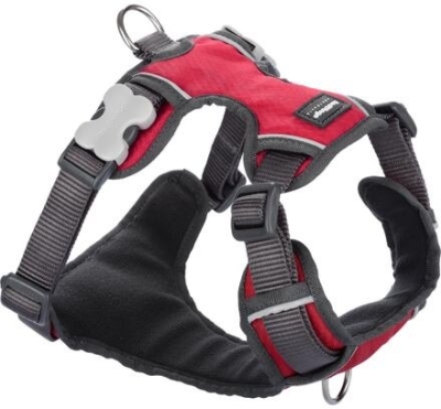 Postroj RD polstrovaný XL - 72-112 cm - Červená