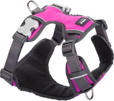 Postroj RD polstrovaný XL - 72-112 cm - Tm. růžová