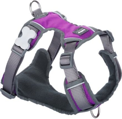 Postroj RD polstrovaný S - 37-52 cm - Fialová