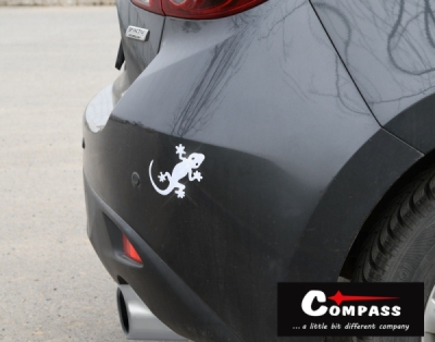 Compass dekor samolepící GECKO stříbrný
