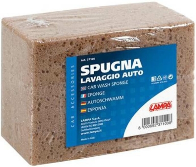 Houba hranatá malá LAMPA