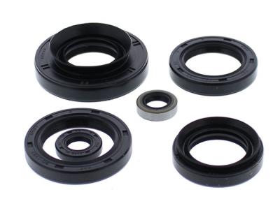 Sada gufer motoru WINDEROSA EOSK 822881
