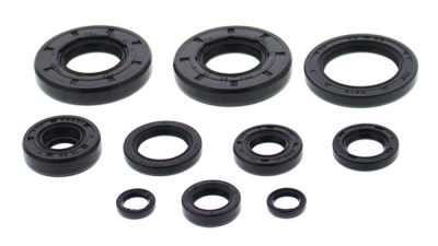 Sada gufer motoru WINDEROSA EOSK 822993
