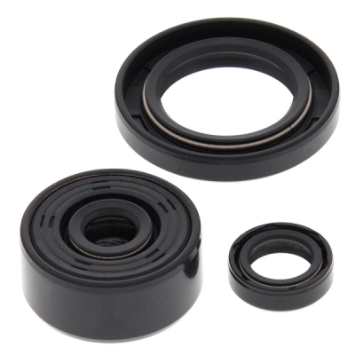 Sada gufer motoru WINDEROSA EOSK 822339