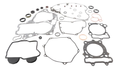 Sada těsnění motoru kompletní vč. gufer motoru WINDEROSA CGKOS 811983