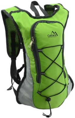 Batoh na záda 4,5l LIZARD Cattara 13844