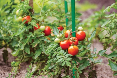 Ocelová zahradní tyč 1,1 x 150 cm BRADAS TYP11150