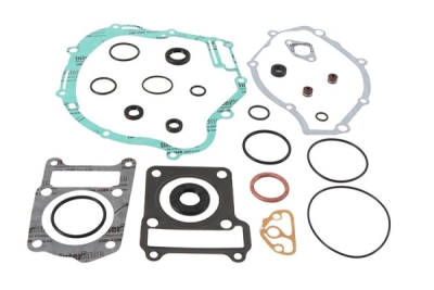 Sada těsnění motoru kompletní vč. gufer motoru WINDEROSA CGKOS 811977