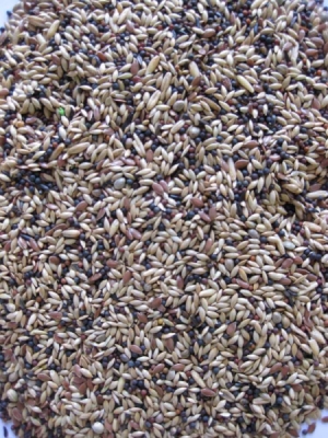 Deli Nature Premium kanárek 4 kg