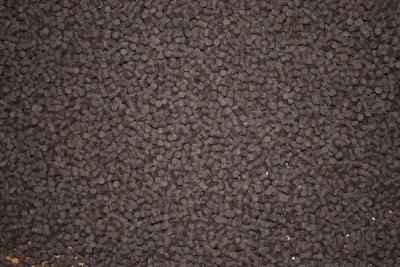 Tubifex krmivo pro jesetery 4 mm 0,5 kg