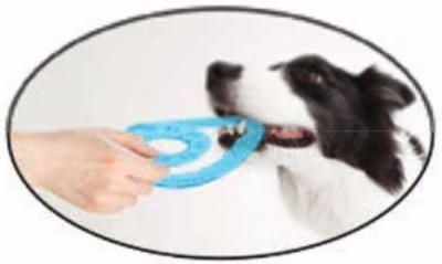 Frisbee Vortix