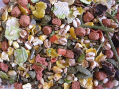 Deli Nature Premium morče 12,5 kg