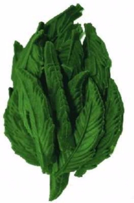 Dentální lístečky Mint JUKO Snacks (40 ks)