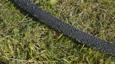 Zahradní zavlažovací kapací hadice 7,5m 1/2" AQUA-DROP BRADAS WAD1/2075