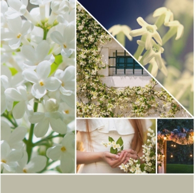VONNÁ SVÍČKA YANKEE CANDLE MIDNIGHT JASMINE VOTIVNÍ