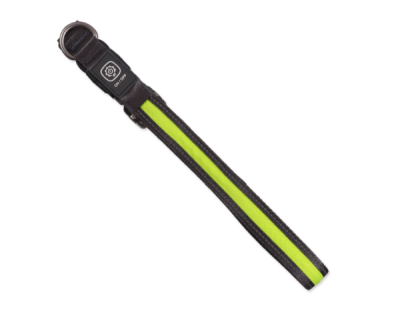 Obojek Dog Fantasy USB LED nylonový svítící M-L zelený 2,5x45-65cm