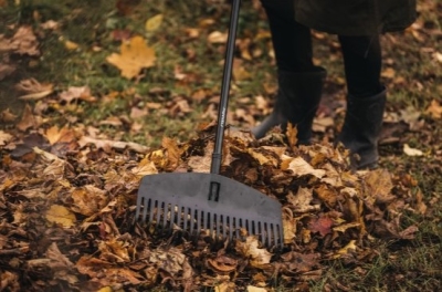 Fiskars hrábě na listí Solid M, s násadou
