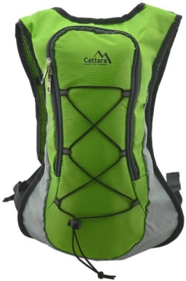 Batoh na záda 4,5l LIZARD Cattara 13844