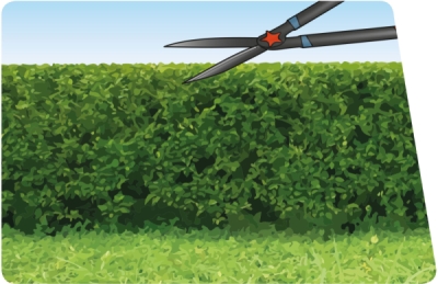 Nůžky na živý plot s vlnitým ostřím teleskopické, 690-890mm EXTOL PREMIUM