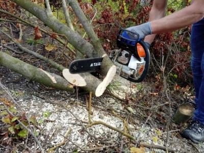 Vodicí lišta na řetězové pily a 2 řetězy, 35 cm, 3/8", 1,3 mm, TA1107
