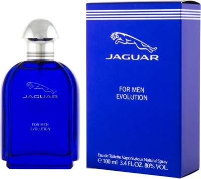 Jaguar For Men Evolution EDT 100 ml M