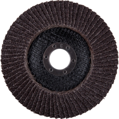 EXTOL PREMIUM kotouč lamelový šikmý korundový, O125mm, P36 - 8803471
