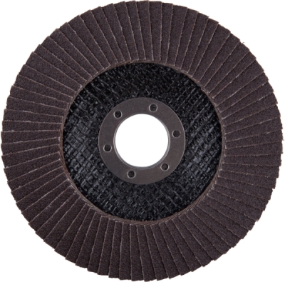 EXTOL PREMIUM kotouč lamelový šikmý korundový, O115mm, P100 - 8803465
