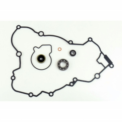 Těsnění vodní pumpy sada ATHENA P400270475005 with bearings
