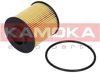Olejový filtr KAMOKA F111801