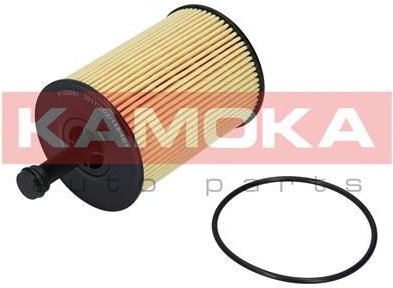 Olejový filtr KAMOKA F100901