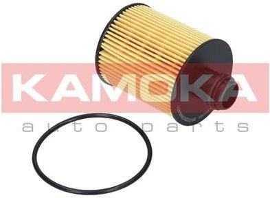 Olejový filtr KAMOKA F111701