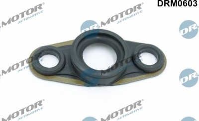 Těsnění, držák trysky Dr.Motor Automotive DRM0603