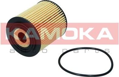 Olejový filtr KAMOKA F121901