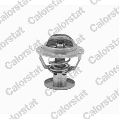 Termostat, chladivo CALORSTAT BY VERNET TH6578.87J - bazar