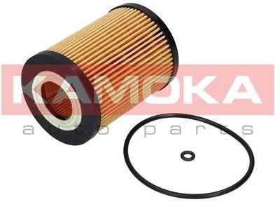 Olejový filtr KAMOKA F111301