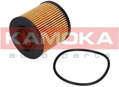 Olejový filtr KAMOKA F109801