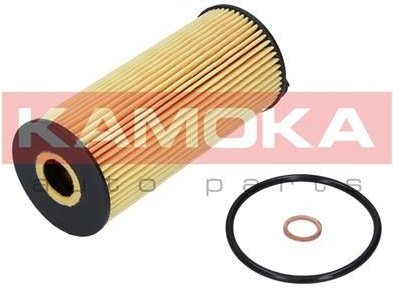 Olejový filtr KAMOKA F110901