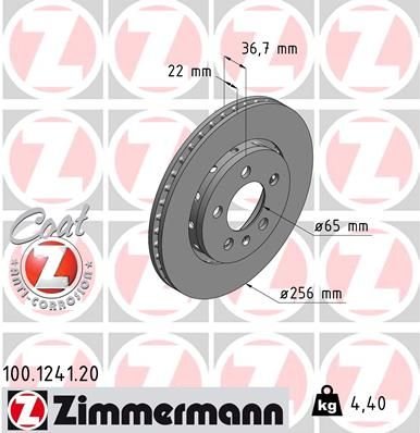 Brzdový kotouč ZIMMERMANN 100.1241.20