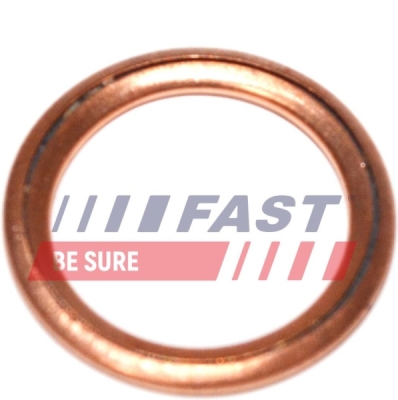 Těsnicí kroužek, olejová vypouštěcí zátka FAST FT94716