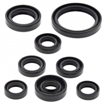 Sada gufer motoru WINDEROSA EOSK 822167