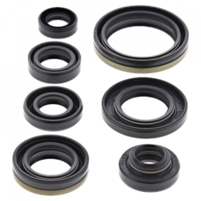 Sada gufer motoru WINDEROSA EOSK 822176