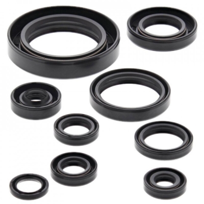 Sada gufer motoru WINDEROSA EOSK 822177