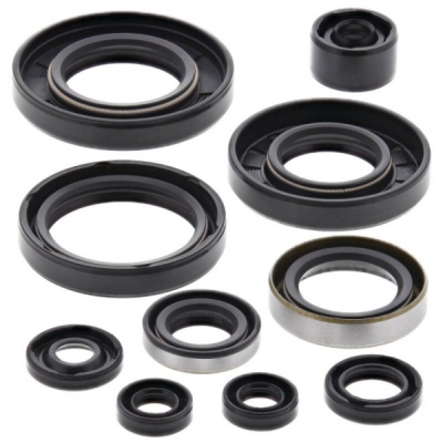 Sada gufer motoru WINDEROSA EOSK 822257