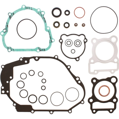 Sada těsnění motoru kompletní vč. gufer motoru WINDEROSA CGKOS 8110047