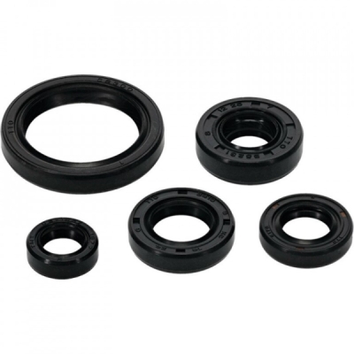 Sada gufer motoru WINDEROSA EOSK 822994
