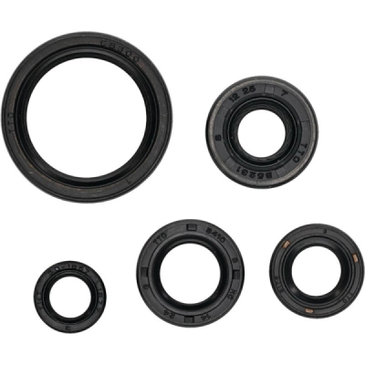 Sada gufer motoru WINDEROSA EOSK 822994